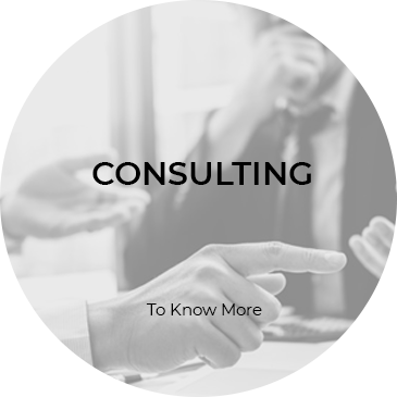 catalydd consulting (1)